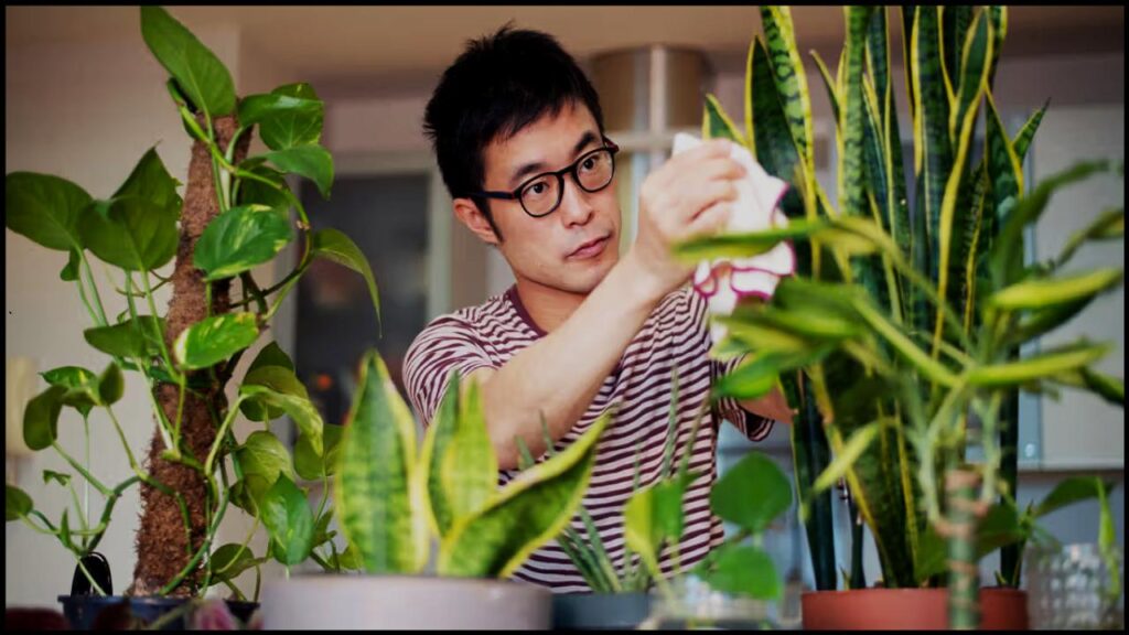 8 Surprising Reasons Your Houseplants Aren’t Thriving—and How to Turn Things Around 1 8 Surprising Reasons Your Houseplants Aren’t Thriving—and How to Turn Things Around