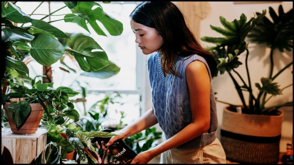 9 Indoor Palms That Instantly Elevate Your Space (and Purify the Air Too)