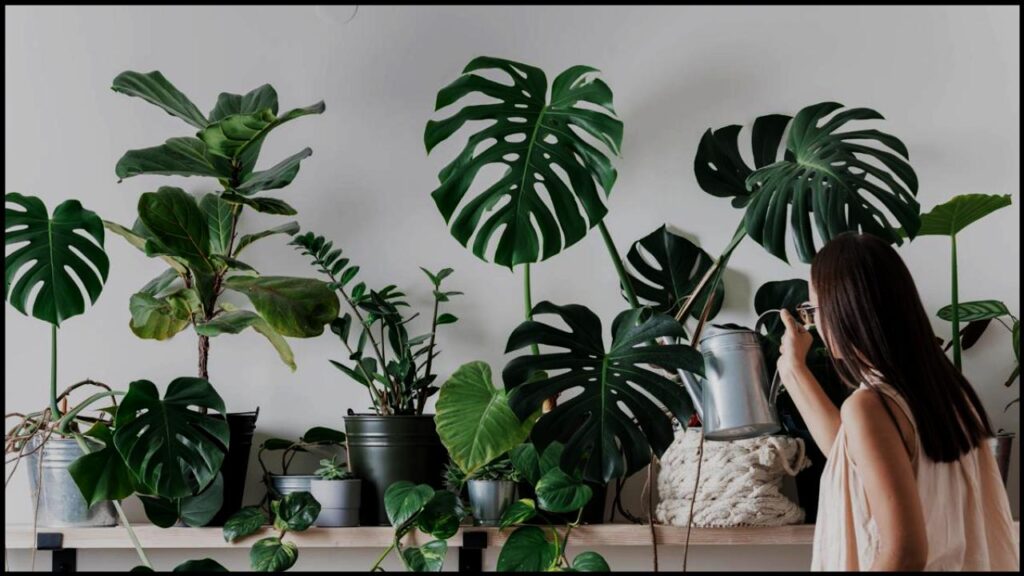 Experts Say These 9 Plants Could Be Secretly Polluting Your Bedroom Air 1 Experts Say These 9 Plants Could Be Secretly Polluting Your Bedroom Air