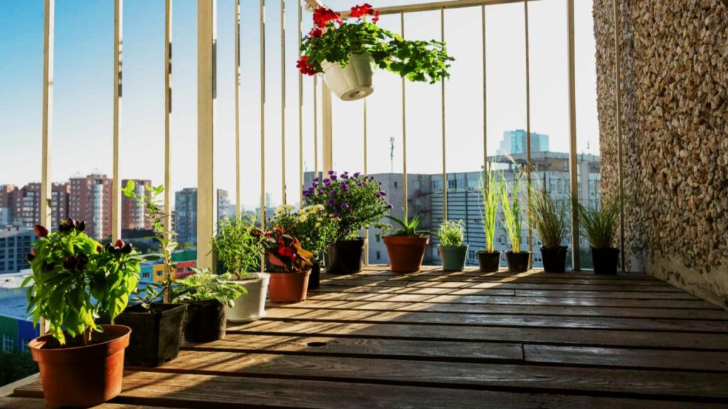 Want to Move Your Plants Outside This Spring? Don’t Make This Common Mistake 3 Balcony, Patio & Apartment Tips