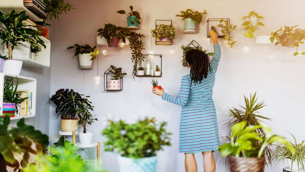 Want a Naturally Fresh-Smelling Home? Try These Fragrant Indoor Plants 9 Bonus Tips to Maximize Fragrance