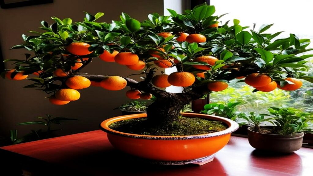 10 Stunning Trees You Can Actually Grow Indoors — #7 Grows Shockingly Fast 6 Citrus 'Meyer' Lemon Tree