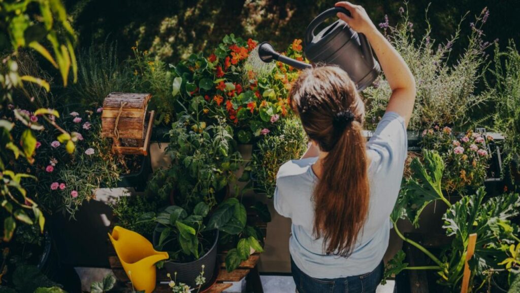 Want to Move Your Plants Outside This Spring? Don’t Make This Common Mistake 4 Expert Insight