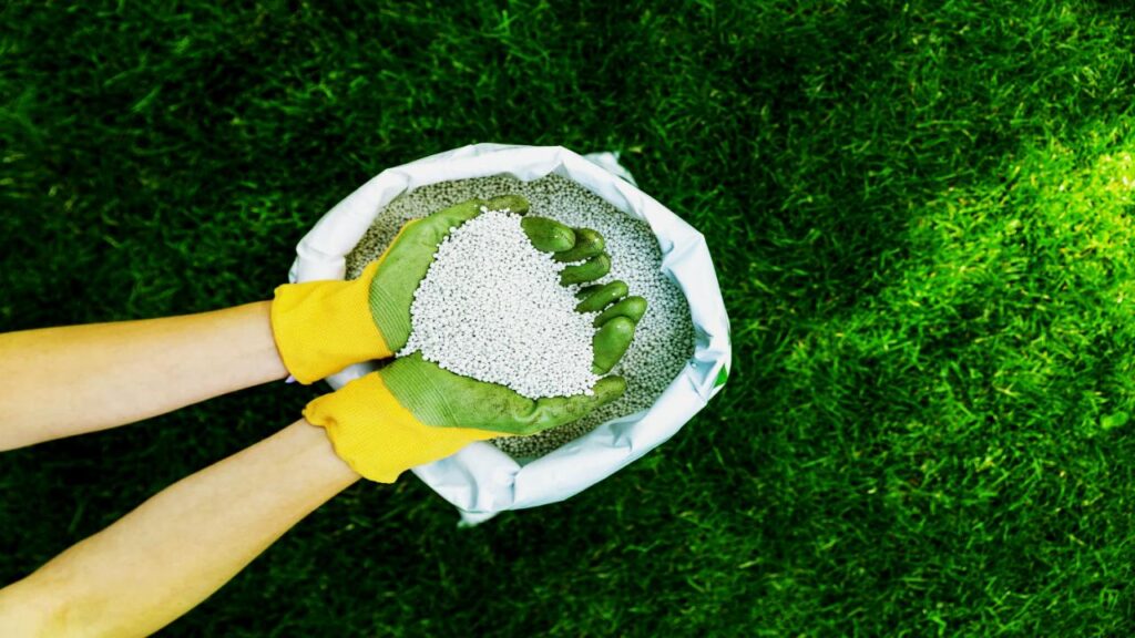 8 Surprising Reasons Your Houseplants Aren’t Thriving—and How to Turn Things Around 9 Neglecting Fertilization