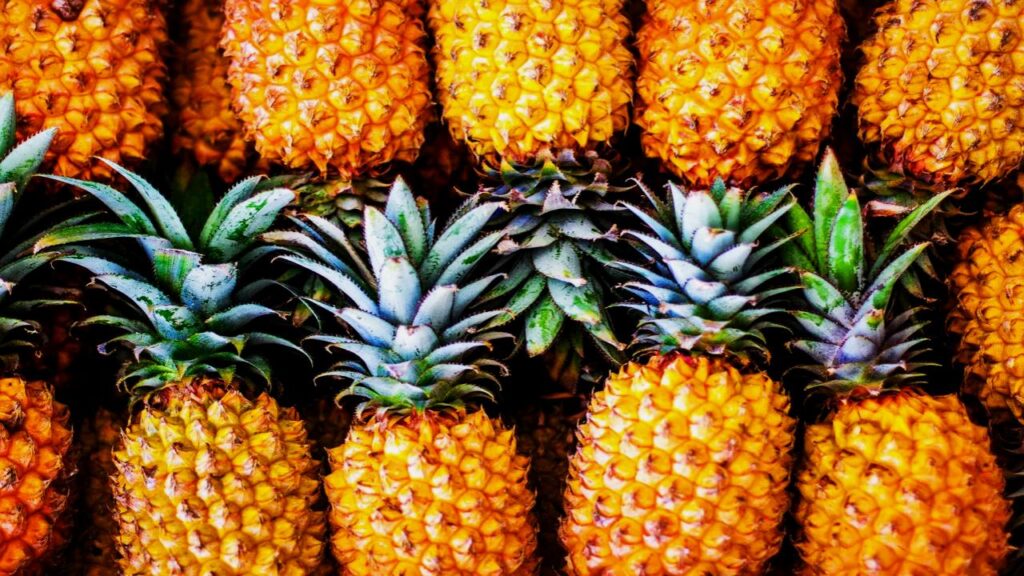 Yes, You Can Grow Fruit Indoors—These 9 Trees Make It Surprisingly Easy 10 Pineapple