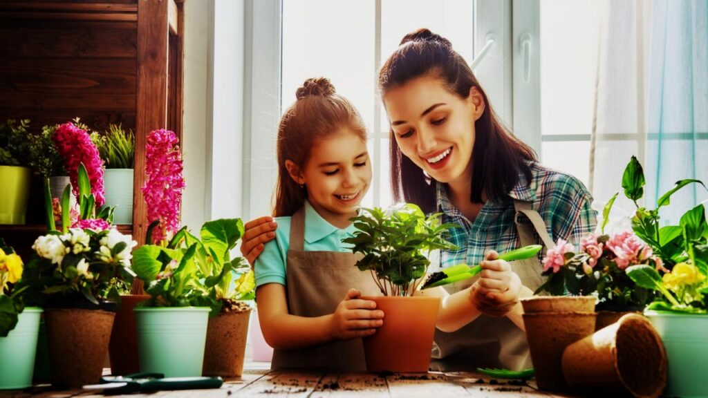 Pro Tips for Indoor Plant Success