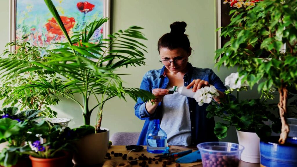 The Spider Plant Watering Hack Every Plant Parent Needs to Know 2 The Rice Water Fertilizer Hack: Nature’s Nutrient Boost