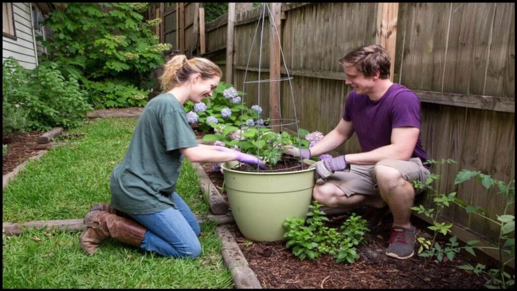 Want to Move Your Plants Outside This Spring? Don’t Make This Common Mistake 1 Want to Move Your Plants Outside This Spring? Don’t Make This Common Mistake