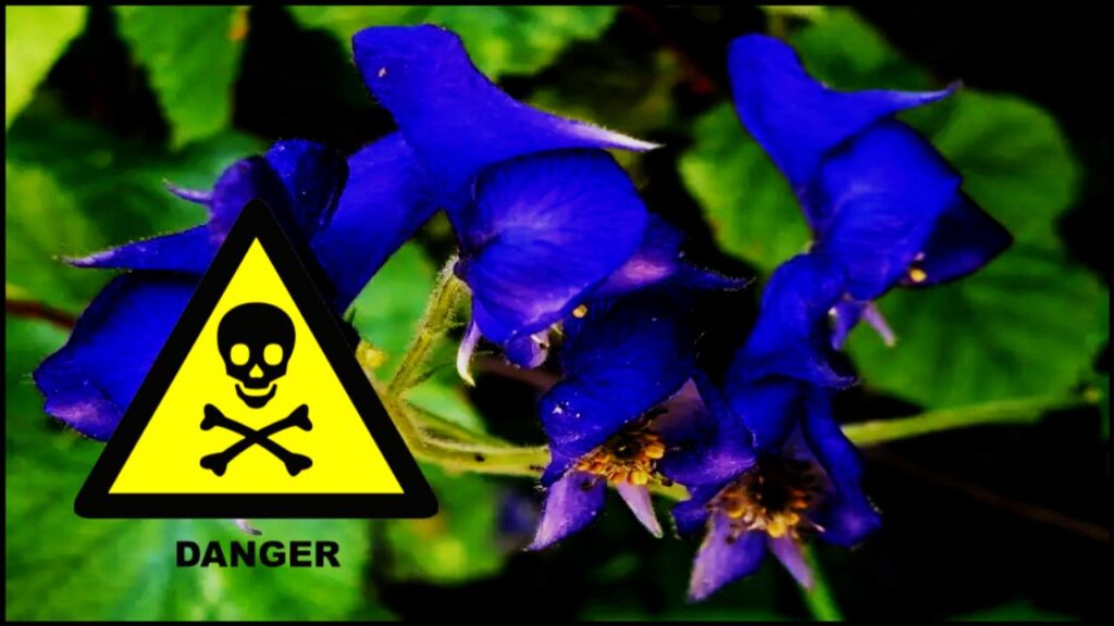 10 Surprising Plant Duos That Can Destroy Each Other 1 10 Surprising Plant Duos That Can Destroy Each Other