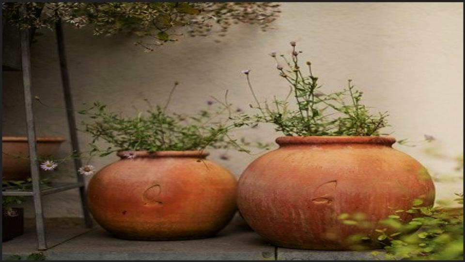 A Terracotta Pot Collection