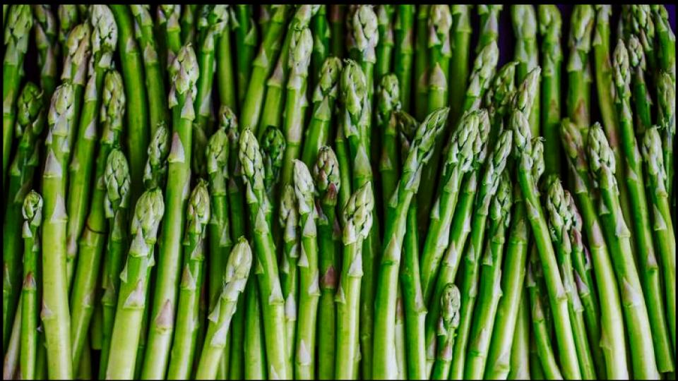 9 Vegetables not to Grow in Pots—Experts Explain Why 5 Asparagus