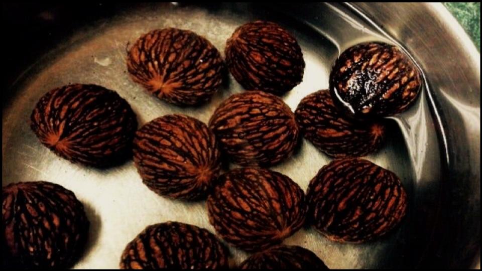 7 Plants that Destroy Fruit Trees Without You Realizing 2 Black Walnut