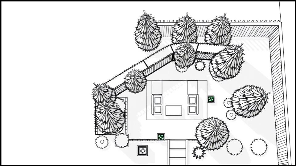 5 Fast-Growing Evergreen Trees and Deliver Instant Shade 2 Blueprint-style sketch of a backyard layout
