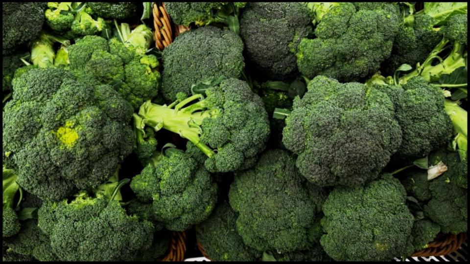 12 Secret Vegetables That Actually Do Better When Planted Late 8 Broccoli