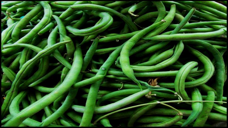 12 Secret Vegetables That Actually Do Better When Planted Late 13 Bush Beans