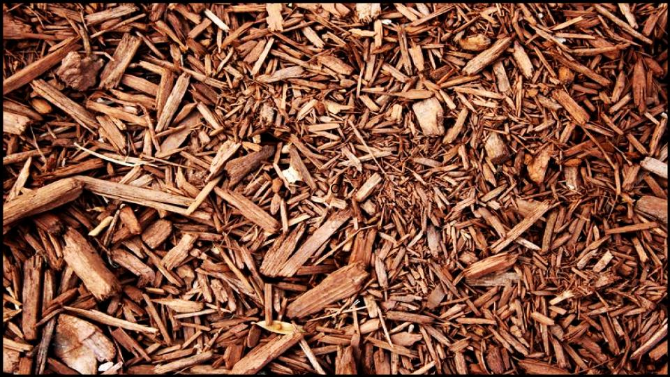 13 Types of Mulch You’re Probably Using Wrong—Here’s What Experts Say 5 Cedar Mulch