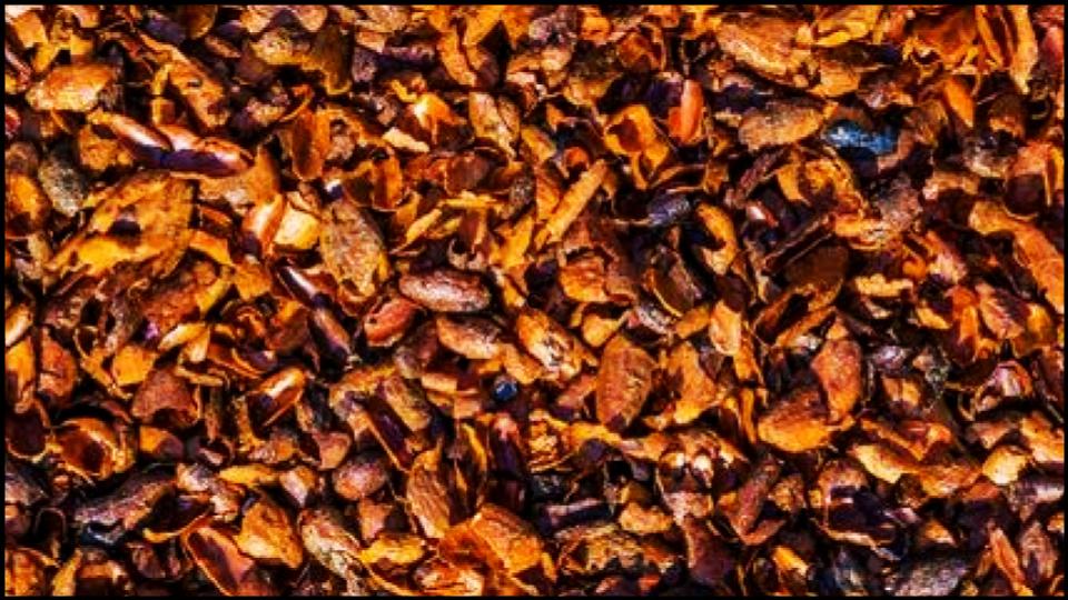 13 Types of Mulch You’re Probably Using Wrong—Here’s What Experts Say 7 Cocoa Hulls