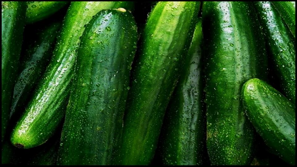 12 Secret Vegetables That Actually Do Better When Planted Late 7 Cucumbers