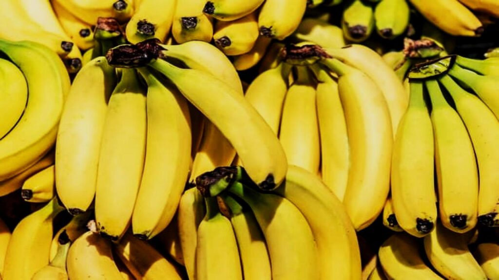 10 Fast-Growing Succulents That Fill Your Garden in No Time—Experts Approve 6 String of Bananas