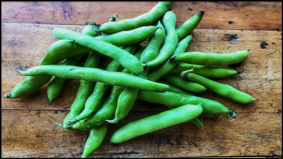 21 Soil-Saving Plants Every Gardener Should Be Growing 18 Fava Beans
