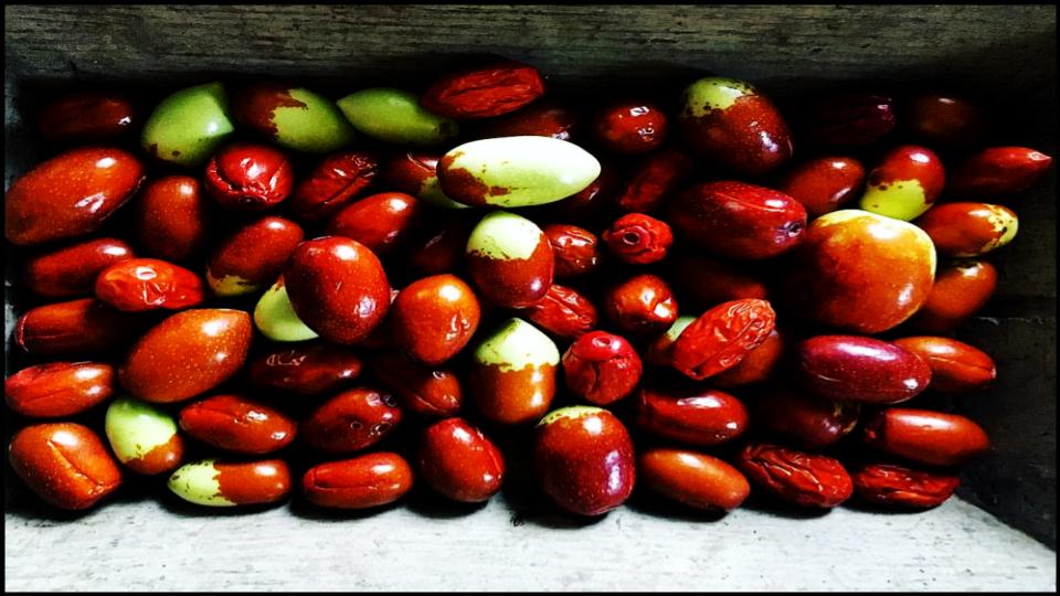 8 Fruit Trees So Easy Grow Themselves—Anywhere 6 Jujube