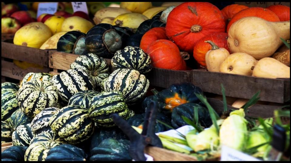 9 Vegetables not to Grow in Pots—Experts Explain Why 3 Large Pumpkins & Winter Squash