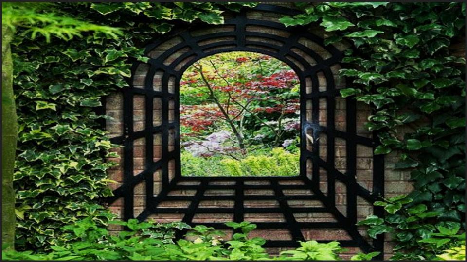 Outdoor Mirror Illusion