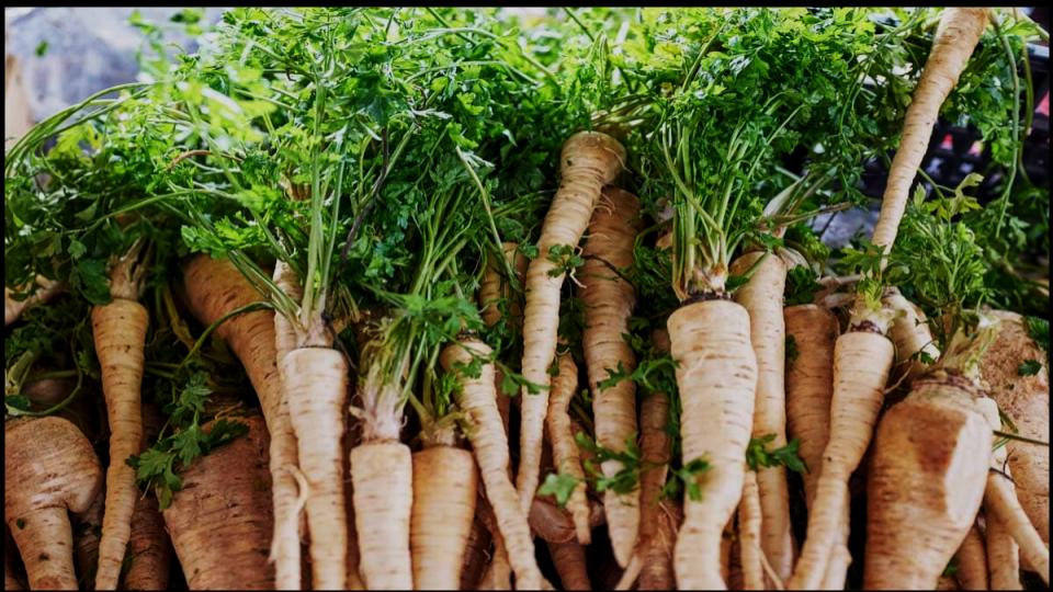9 Vegetables not to Grow in Pots—Experts Explain Why 8 Parsnips and Other Large Taproots