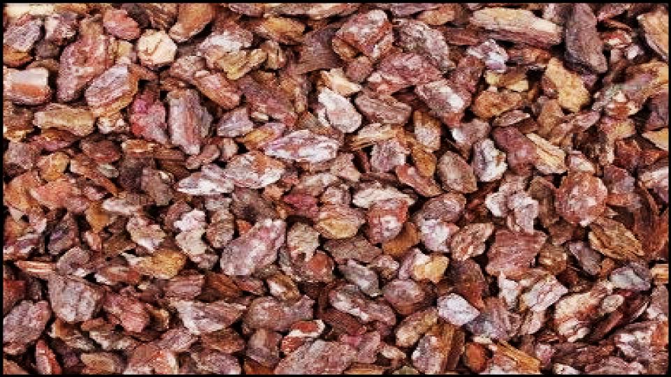 13 Types of Mulch You’re Probably Using Wrong—Here’s What Experts Say 4 Pine Bark Nuggets