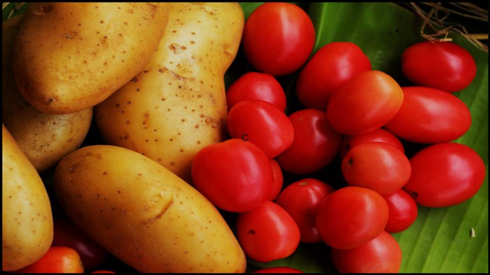 7 Plants that Destroy Fruit Trees Without You Realizing 3 Potatoes & Tomatoes