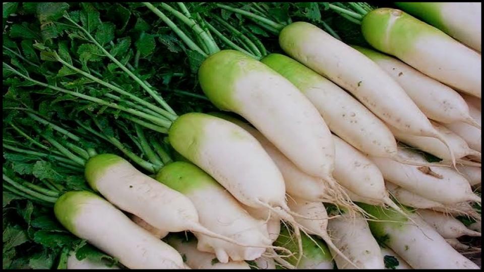 12 Secret Vegetables That Actually Do Better When Planted Late 5 Radishes