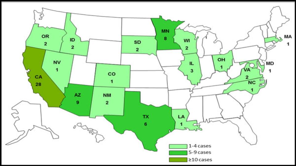 U.S. Expands Urgent Cucumber Recall as Salmonella Hospitalizations Rise 2 Recall and Public Health Impact
