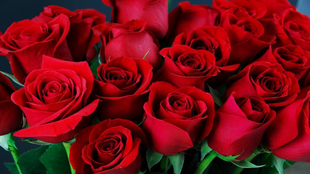9 Gorgeous Flowers That Need Deadheading - Will Stop Blooming 8 Rose