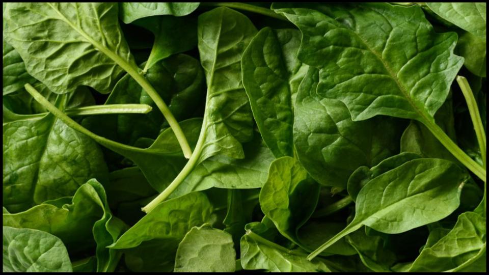 12 Secret Vegetables That Actually Do Better When Planted Late 10 Spinach