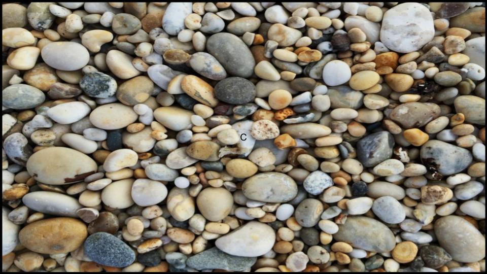 13 Types of Mulch You’re Probably Using Wrong—Here’s What Experts Say 11 Stone/Gravel/Pebbles