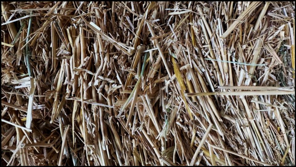 13 Types of Mulch You’re Probably Using Wrong—Here’s What Experts Say 10 Straw