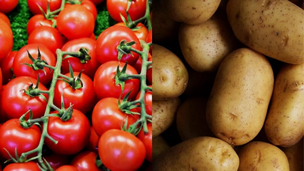 10 Surprising Plant Duos That Can Destroy Each Other 2 Tomatoes and Potatoes