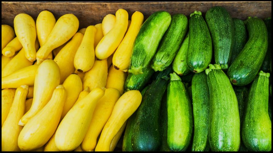 12 Secret Vegetables That Actually Do Better When Planted Late 6 Zucchini & Summer Squash