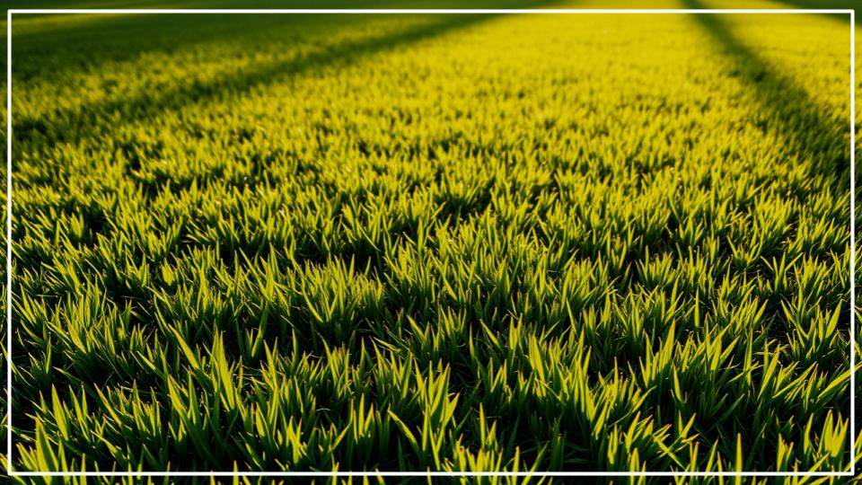 Beneficial Nematodes: How to Use Them for a Healthy, Grub-Free Yard 1 Beneficial Nematodes