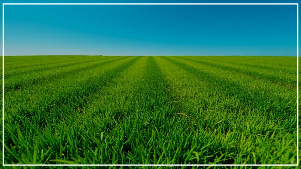 6 Blade Mistakes That Could Be Turning Your Lawn into a Mess 1 Blade Mistakes