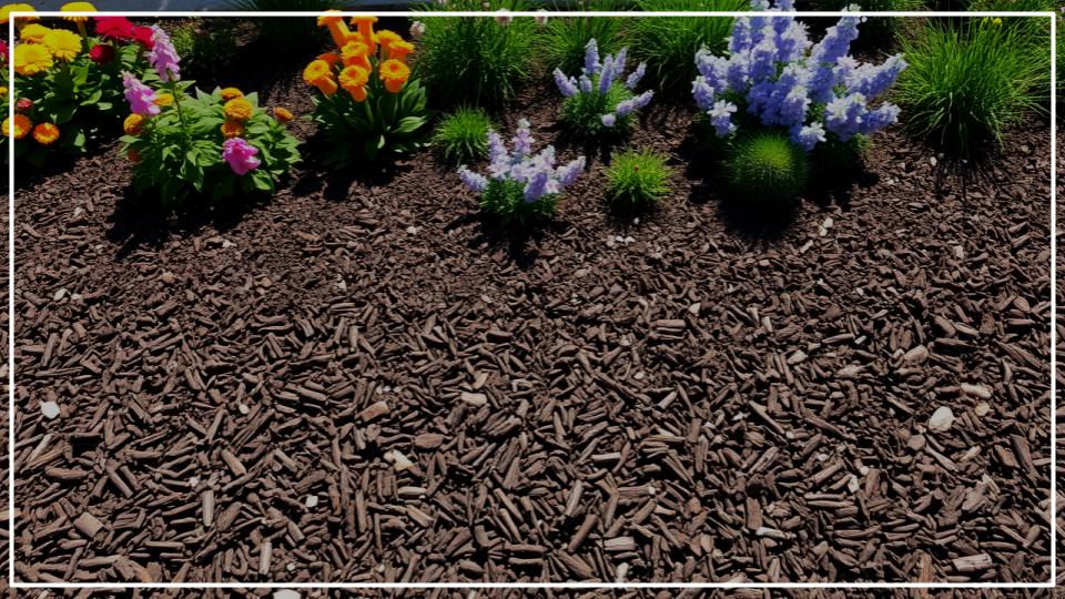 The #1 Gardening Mistake That’s Inviting Weeds into Your Yard 1 Gardening Mistake