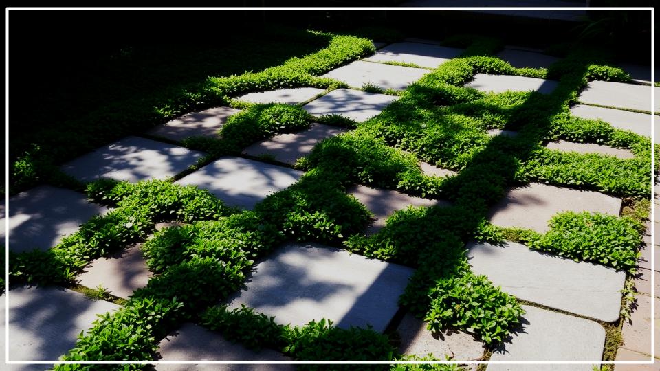 8 Ground Covers for Patios or Pathway That Instantly Upgrade 1 Ground Covers for Patios