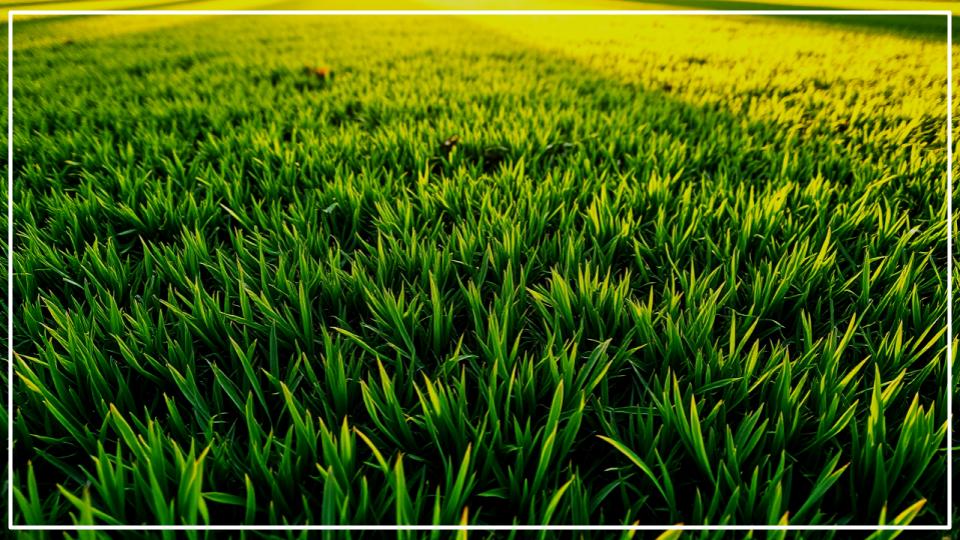 The Perfect Time to Mow After Winter—And Avoid Ruining Your Lawn 1 Perfect Time to Mow After Winter