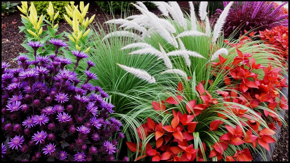 12 Easy Ways to Add Rich Color and Texture to Your Garden This Fall 1 Rich Color and Texture to Your Garden This Fall