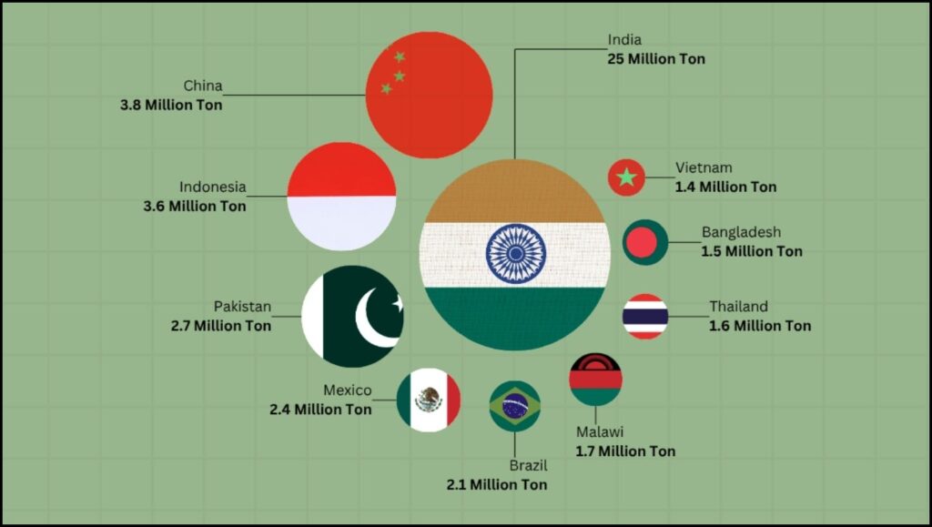 India's Reign: Inside the Data on the World's Top Producer of Mango 2 Global Mango Producing Countries
