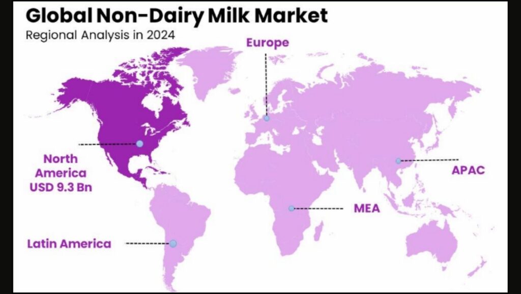 Asia Dominates Global Rice Milk Market Amid Surging Plant-Based Demand 2 Global Non-Dairy Milk Product