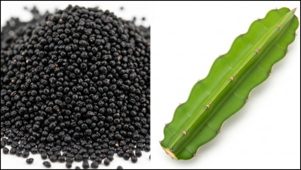 Exotic Fruit in Your Backyard: How to Grow a Dragon Fruit Plant 2 black dragon fruit seeds & green dragon fruit cutting