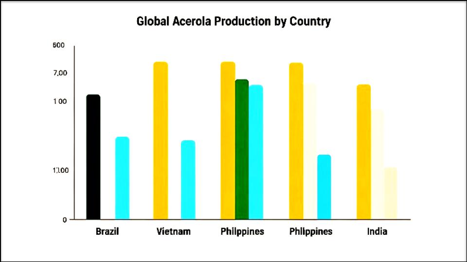 How Brazil Country Famous for Producing the Most Acerolas 2 global acerola production by country