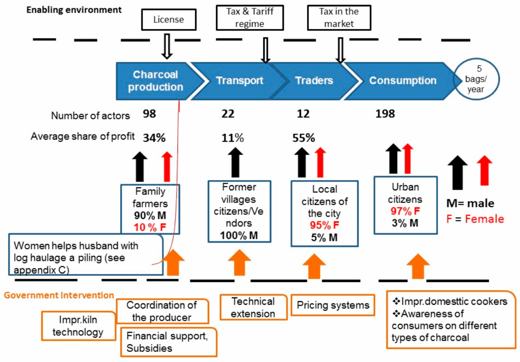 Bolivia Solidifies Position as World’s Largest Achachairú Producer with U.S. Export Push 3 illustrating the Achachairú Value Chain