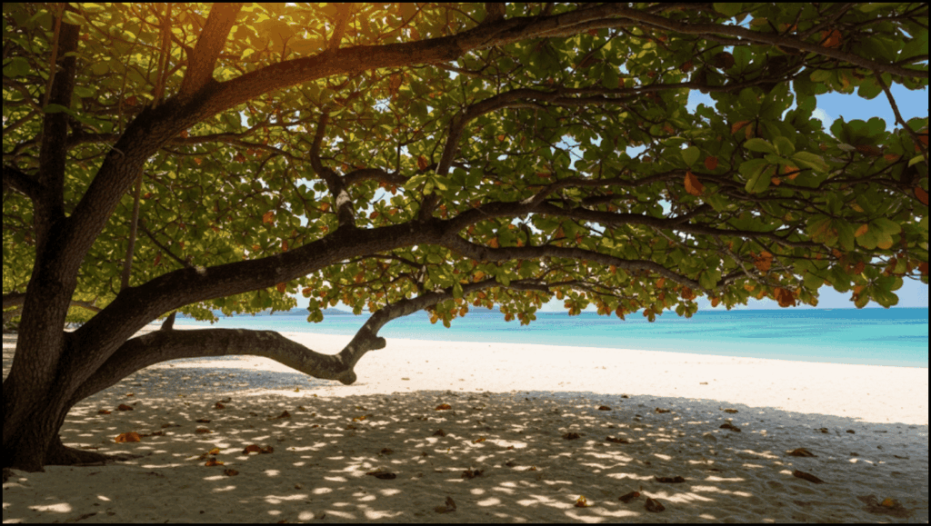 The Surprising Truth About the World’s Largest Indian Almond Producer 1 Indian Almond Producer